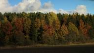 Djurns naturreservat Nkpg