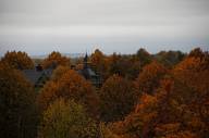 Norrköping, Balkongutsikt över stans höstträd
