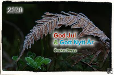 God Jul 2020, Julkort 2020