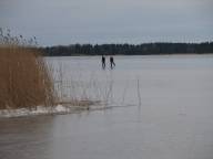 Vinter och is p Brviken