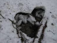 Vinter i Getravinen