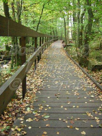 Planklagd naturstig Sdersens Nationalpark, Skralid.