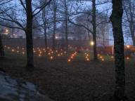 Bild: P1340