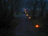 Bild: P1350