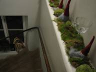 Bild: P1470