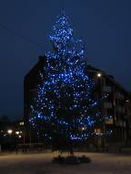 Bild: P1550