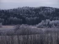 Bild: P1650