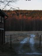 Bild: P1680