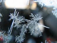 Bild: P1690