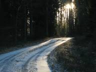 Bild: P1740