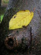 Bild: DSCN0775