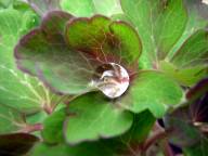 Bild: DSCN1730