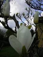 Bild: DSCN1871
