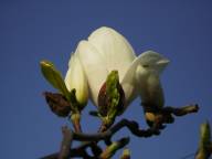 Bild: DSCN1883
