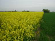Bild: DSCN1918