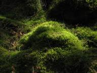 Bild: P0800