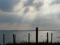 Bild: P0880