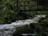 Bild: P0940