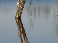 Bild: P0990