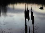 Bild: P1030