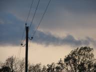 Bild: P1050