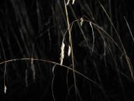 Bild: P1060
