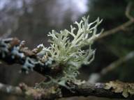 Bild: P1120