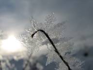 Bild: P1190