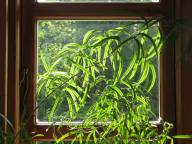 Bild: P1400