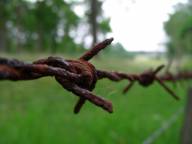 Bild: P1460