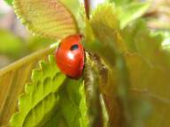 Bild: P1530