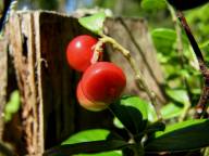 Bild: P1660