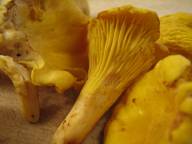 Bild: P1750
