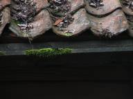 Bild: P1780