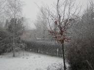 Bild: DSCN1217